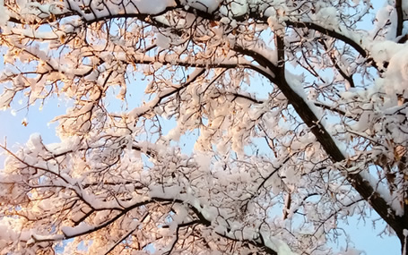 智能急救系统/ 急救信息化系统天荣医疗-2024年的第一场雪，悄然而至！