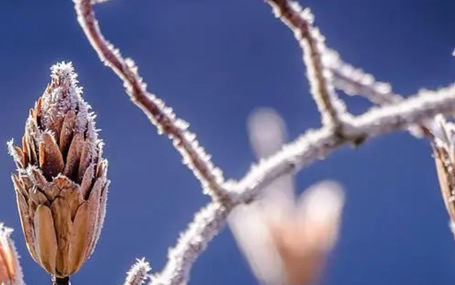 急救车载监护/ 5G急救系统天荣医疗-寒冷的冬日，你感受到了吗？