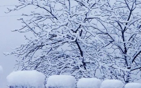 5G急诊急救/急诊急救大平台天荣医疗-冻雨+雪来袭，注意出行安全！