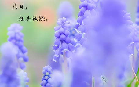 5G急救装备/智能急救系统天荣医疗-立秋过后持续高温，注意防暑！