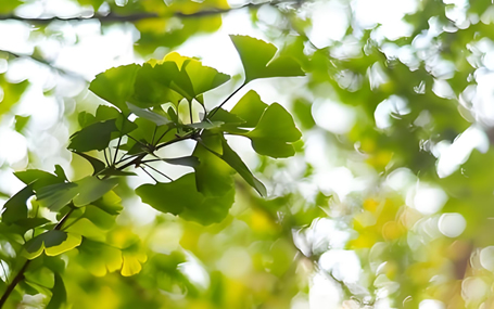 5G急救装备/智能急救系统天荣医疗-浅夏清韵，时光漫舞
