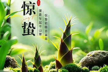 院前院内协同救治/5G音视频远程会诊天荣医疗-惊蛰：暖春乍起千山翠，一声春雷，唤醒人间所有温柔