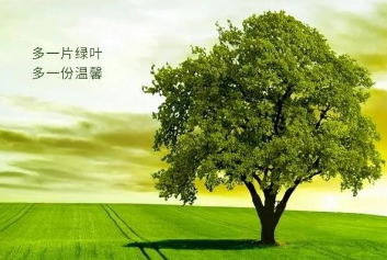 5G音视频远程会诊/智慧急救系统天荣医疗-今天是植树节，春天植一抹新绿，种一城希望