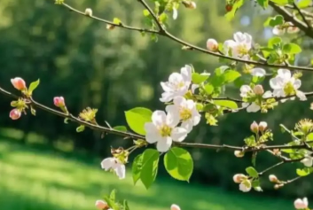 5G音视频远程会诊/急诊急救大平台天荣医疗-春假启幕，童心向暖，孩子们的快乐时光正式上线