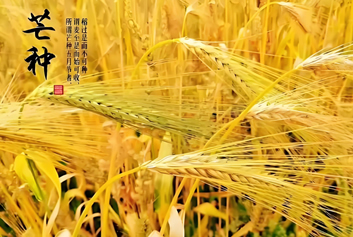 5G音视频远程会诊/急诊急救大平台天荣医疗-今天芒种，夏风染穗，芒种皆安！